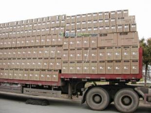 供應(yīng)東莞到桂林行李托運(yùn) 桂林物流搬家搬廠 東莞到桂林貨運(yùn)專線_交通運(yùn)輸_世界工廠網(wǎng)中國(guó)產(chǎn)品信息庫(kù)